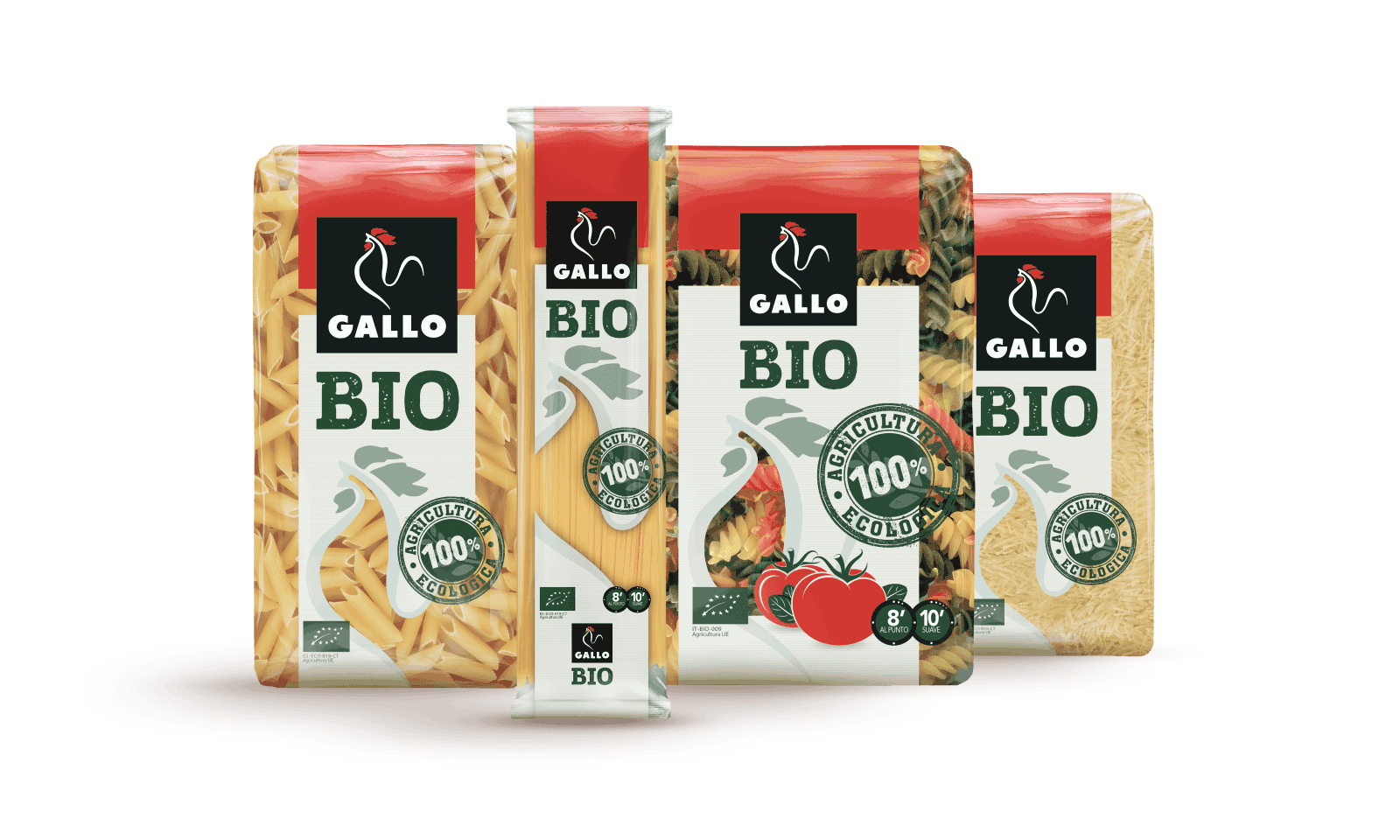 bodegon bio
