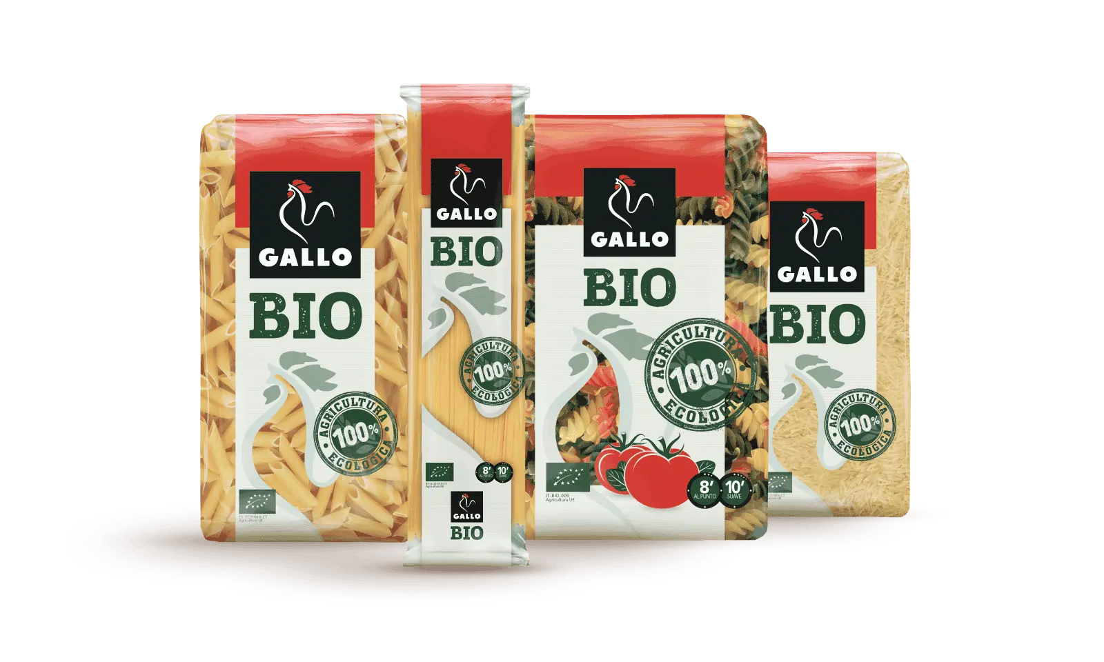 bodegon bio 1