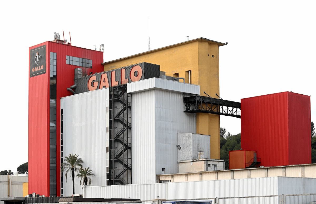 Gallo lidera un proyecto revolucionario para garantizar un alto porcentaje de pollo en todos los caldos del mercado